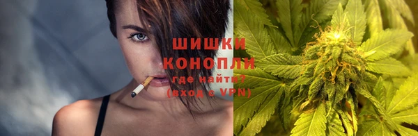 трава Заводоуковск
