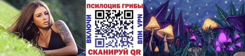 Купить где  Вязники  Галлюциногенные грибы MAGIC MUSHROOMS 